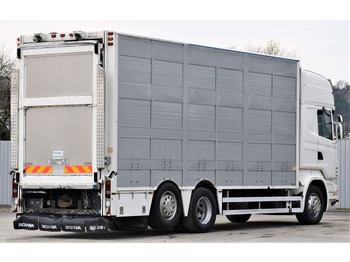 Livestock truck Scania R 500 TIERTRANSPORTWAGEN 7,10m / 4STOCK: picture 5
