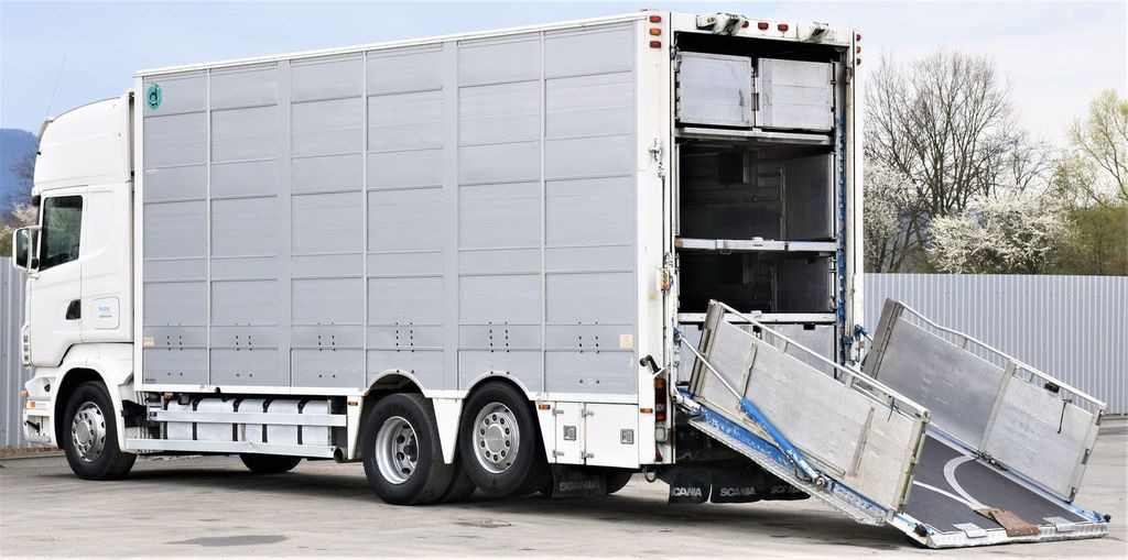 Livestock truck Scania R 500 TIERTRANSPORTWAGEN 7,10m / 4STOCK: picture 7