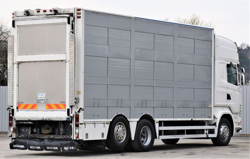 Livestock truck Scania R 500 TIERTRANSPORTWAGEN 7,10m / 4STOCK: picture 5