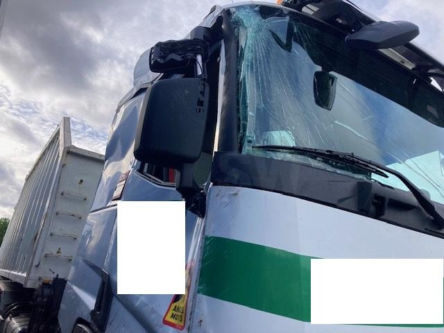 Tipper Renault C-Series 460