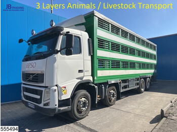 Livestock truck Volvo FH13 420 8x4, 3 Layers Animals Livestock Transport: picture 1