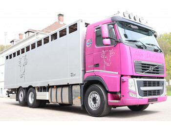 Livestock truck Volvo FH13.500  E5 6x2 Retarder Viehtransporter: picture 1