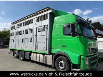 Livestock truck Volvo FH 440 Globe XL 3 Stock Hubdach: picture 1
