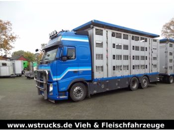 Livestock truck Volvo FH 460 Globe XL  Menke 4 Stock: picture 1
