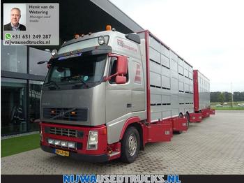 Livestock truck Volvo FH 480 Berdex veewagen combinatie: picture 1