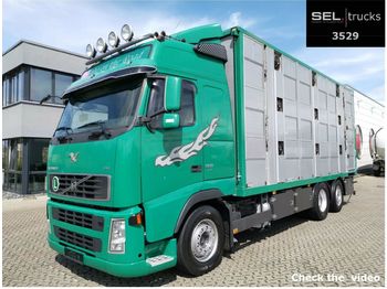 Livestock truck Volvo FH 520 6x2 / 3 Stock / German: picture 1