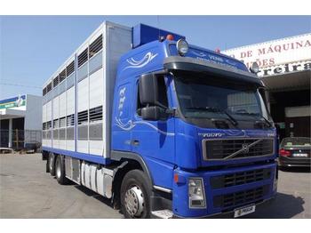 Livestock truck Volvo FM12 460: picture 1