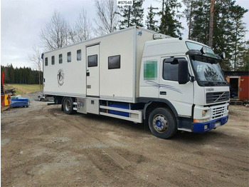 Livestock truck VOLVO FM7
