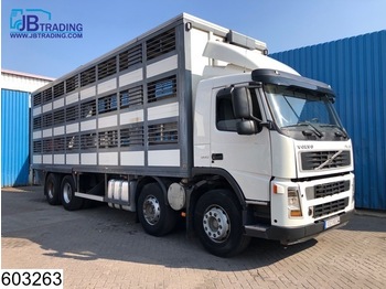 Livestock truck Volvo FM 380 8x2, 12 wheels, Retarder, Animal transport, 3 layers, Manual, Steel suspension: picture 1