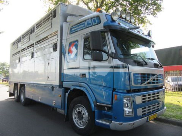 Livestock truck Volvo FM 9: picture 3