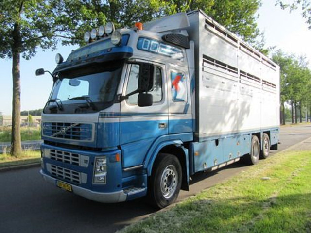 Livestock truck Volvo FM 9: picture 16