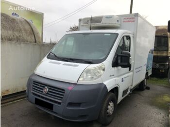 Refrigerated van FIAT ducato: picture 1