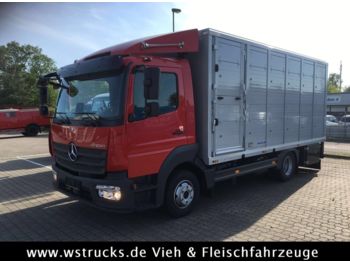 Box van for transportation of animals Mercedes-Benz 821L" Neu" WST Edition" Menke Einstock Vollalu: picture 1