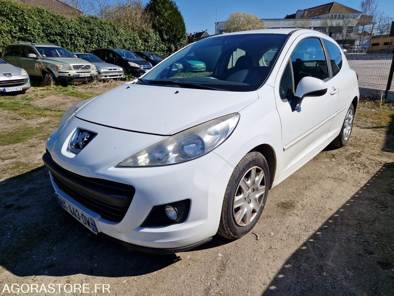 Small van Peugeot 207 - BT433DW - 2011