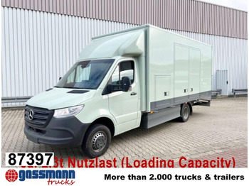 Panel van MERCEDES-BENZ Sprinter 516