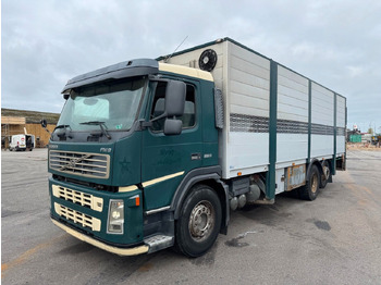 Horse truck VOLVO FM9