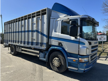 Livestock truck SCANIA P 310