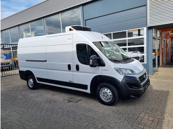 Refrigerated van FIAT Ducato Maxi