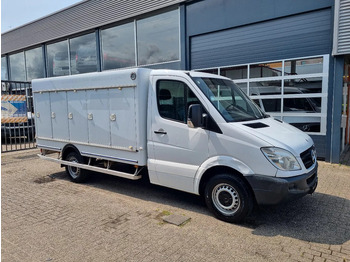 Refrigerated van MERCEDES-BENZ Sprinter 313