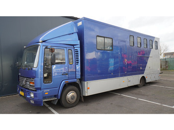 Horse truck Volvo FL 6-9 HORSE TRANSPORT 341.000KM MANUAL GEARBOX: picture 3