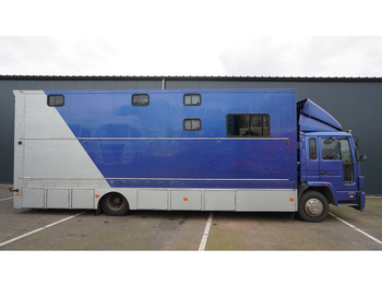 Horse truck Volvo FL 6-9 HORSE TRANSPORT 341.000KM MANUAL GEARBOX: picture 2