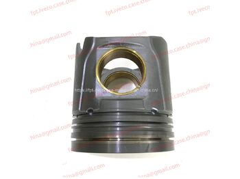 Piston/ Ring/ Bushing IVECO