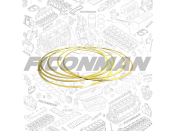 Piston/ Ring/ Bushing IVECO
