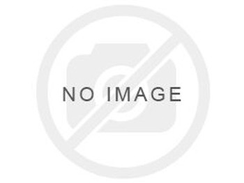 Air intake system LIEBHERR