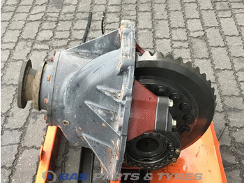 Differential gear DAF