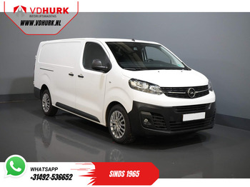 Panel van OPEL Vivaro