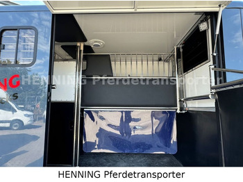 Horse truck Opel Movano 3 - Sitzer *AUFBAU NEU*: picture 4 Horse truck Opel Movano 3 - Sitzer *AUFBAU NEU*: picture 4