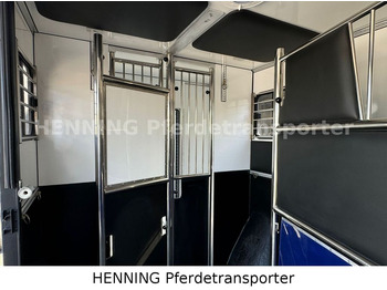 Horse truck Opel Movano 3 - Sitzer *AUFBAU NEU*: picture 5 Horse truck Opel Movano 3 - Sitzer *AUFBAU NEU*: picture 5