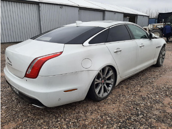 Car JAGUAR XJ SEDAN: picture 4