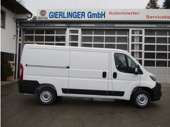 Panel van FIAT Ducato