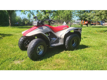 Side-by-side/ ATV YAMAHA