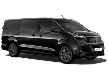 Panel van PEUGEOT Expert XL 2.0 BlueHDi - 180 S&S - BV EAT8  III CABINE APPROFONDIE Fourgon Cabine approfondie Fix: picture 3