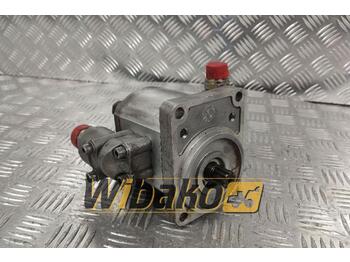 Hydraulic pump CASAPPA