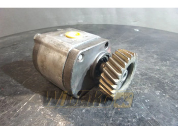 Hydraulic pump