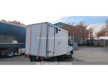 Livestock truck Renault Mascott Pferdeaufbau 2 Pferde: picture 3 Livestock truck Renault Mascott Pferdeaufbau 2 Pferde: picture 3