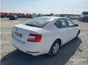 Car 2020 Skoda Octavia Autovettura: picture 3 Car 2020 Skoda Octavia Autovettura: picture 3