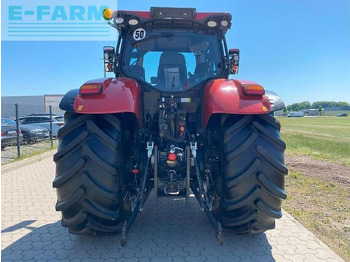 Farm tractor Case-IH puma 175 cvx mit rtk-lenksystem CVX: picture 5
