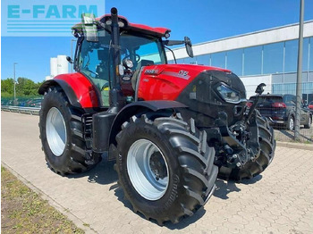 Farm tractor Case-IH puma 175 cvx mit rtk-lenksystem CVX: picture 3