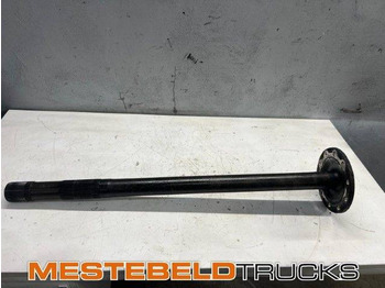 Rear axle DAF