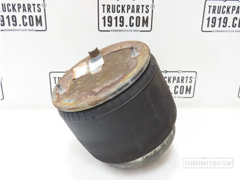 Air suspension DAF