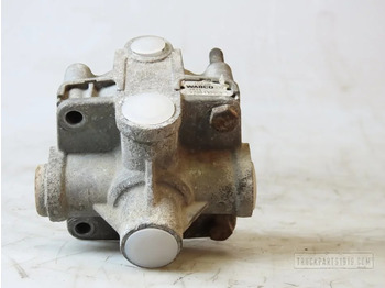 Valve DAF