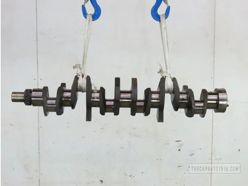 Crankshaft DAF