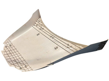 Aerodynamics/ Spoiler Renault: picture 2 Aerodynamics/ Spoiler Renault: picture 2