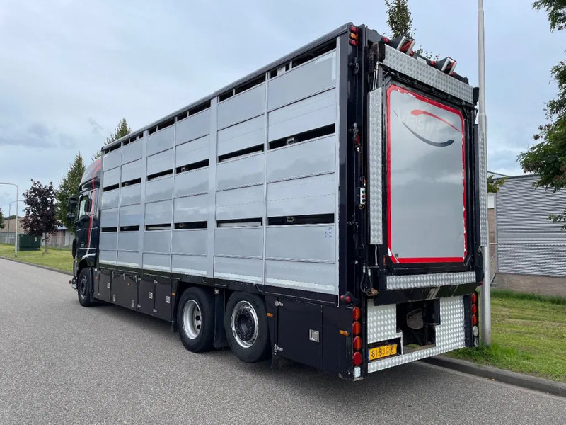DAF XF 460 2017 berdex 3 lagen varkens - Livestock truck: picture 2 DAF XF 460 2017 berdex 3 lagen varkens - Livestock truck: picture 2