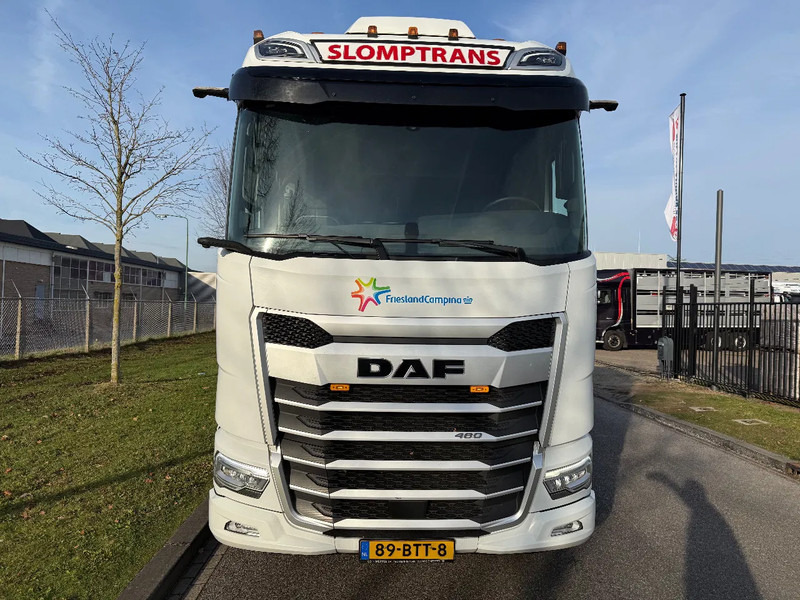 DAF XF 480 2023 XG 480 - Tractor unit: picture 5 DAF XF 480 2023 XG 480 - Tractor unit: picture 5