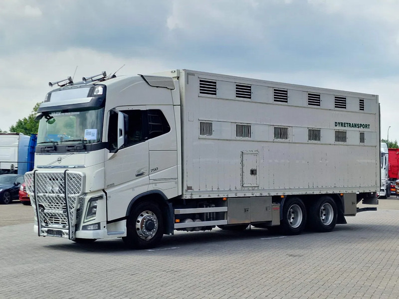 Volvo FH 16.750 6x6/6x4 2 deck livestock - Full air - VEB + - Livestock truck: picture 5 Volvo FH 16.750 6x6/6x4 2 deck livestock - Full air - VEB + - Livestock truck: picture 5